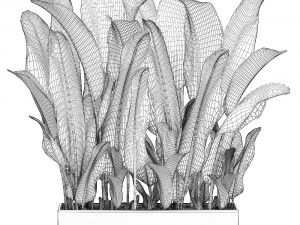 decorative banana in a white flowerpot 539 3D मॉडल