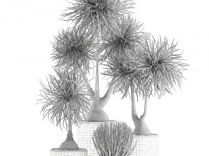 beaucarnea recurvata in a flowerpot for interior design 540 3D Модель