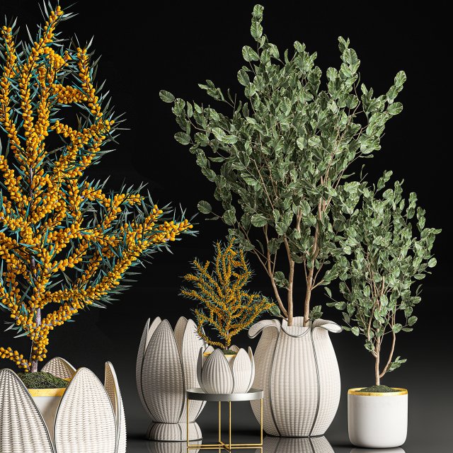 decorative trees in white baskets for the interior 541 3D Модель .c4d .max .obj .3ds .fbx .stl .blend