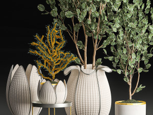decorative trees in white baskets for the interior 541 3D Модель