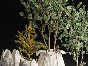 decorative trees in white baskets for the interior 541 3D Модель