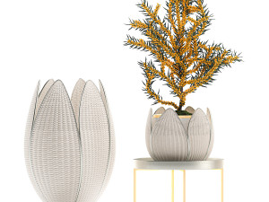 decorative trees in white baskets for the interior 541 3D Модель