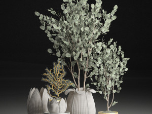 decorative trees in white baskets for the interior 541 3D Модель