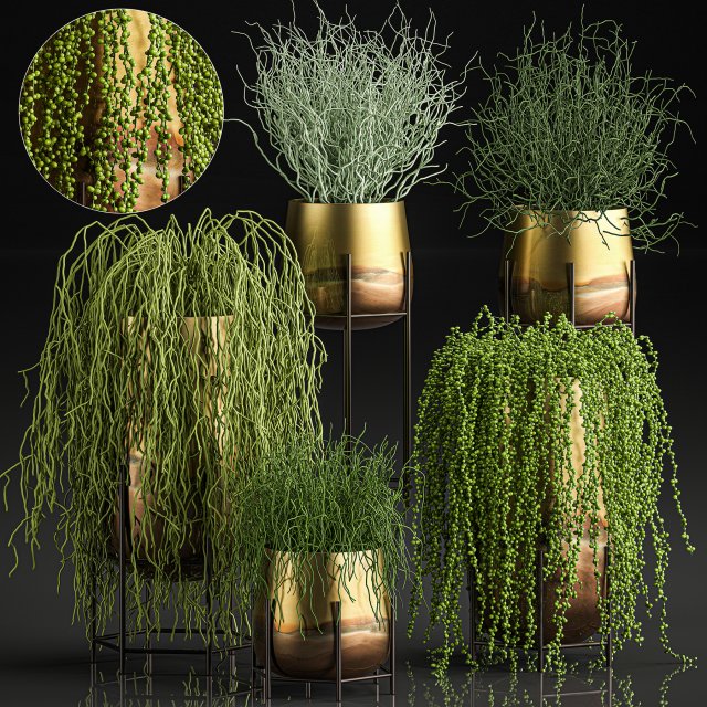 succulents in a flowerpot for interior design 542 Modelo 3D .c4d .max .obj .3ds .fbx .stl .blend 
