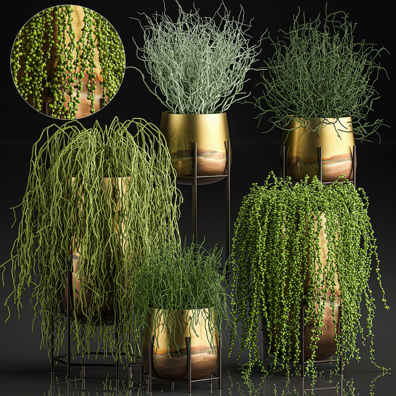 succulents in a flowerpot for interior design 542 3D Model .c4d .max .obj .3ds .fbx .stl .blend 