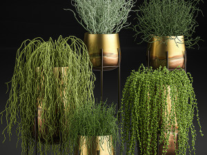 succulents in a flowerpot for interior design 542 Modelo 3D
