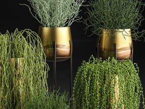 succulents in a flowerpot for interior design 542 Modelo 3D