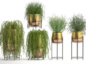 succulents in a flowerpot for interior design 542 Modelo 3D