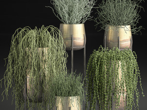 succulents in a flowerpot for interior design 542 Modelo 3D