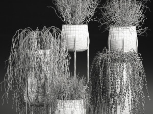 succulents in a flowerpot for interior design 542 Modelo 3D