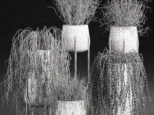 succulents in a flowerpot for interior design 542 3D Model
