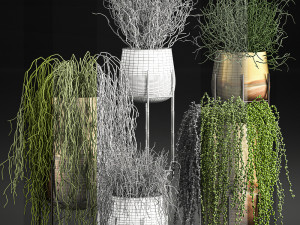 succulents in a flowerpot for interior design 542 Modelo 3D