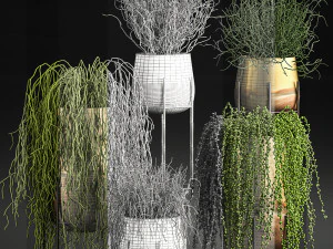 succulents in a flowerpot for interior design 542 3D Model