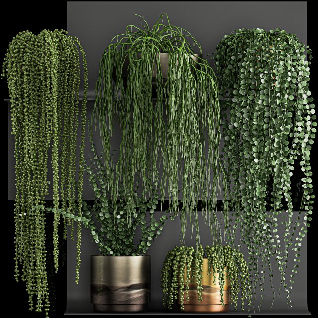 vertical gardening on wall shelves 61 3D Model .c4d .max .obj .3ds .fbx .stl .blend 
