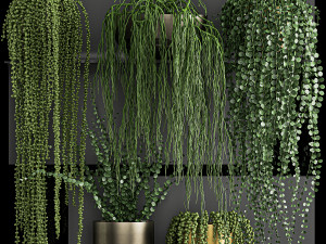 vertical gardening on wall shelves 61 3D Model