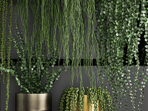 vertical gardening on wall shelves 61 3D Model
