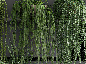 vertical gardening on wall shelves 61 3D Model