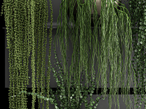 vertical gardening on wall shelves 61 3D Model