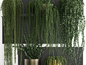 vertical gardening on wall shelves 61 3D Model