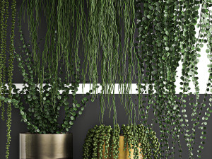 vertical gardening on wall shelves 61 3D Model