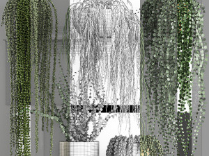 vertical gardening on wall shelves 61 3D Model