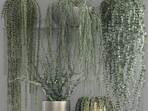 vertical gardening on wall shelves 61 3D Model