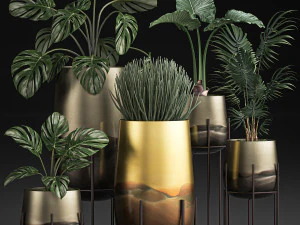 piante decorative in vasi dorati di lusso per interni 544 Modello 3D