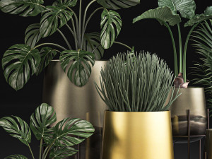 decorative plants in luxury gold pots for the interior 544 3D Model