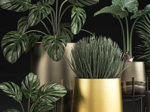 decorative plants in luxury gold pots for the interior 544 3D Model