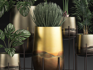 decorative plants in luxury gold pots for the interior 544 3D Model