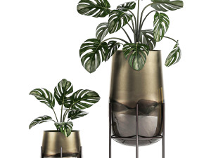 decorative plants in luxury gold pots for the interior 544 3D Model