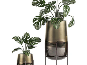 decorative plants in luxury gold pots for the interior 544 3D Model