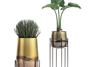 decorative plants in luxury gold pots for the interior 544 3D Model