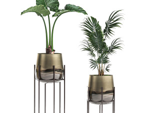decorative plants in luxury gold pots for the interior 544 3D Model