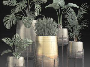 decorative plants in luxury gold pots for the interior 544 3D Model
