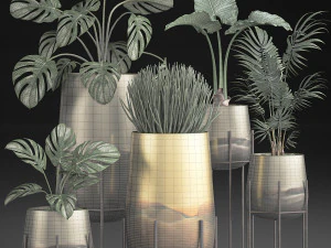 decorative plants in luxury gold pots for the interior 544 3D Model