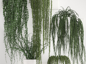 vertical gardening on wall shelves 62 3D Model