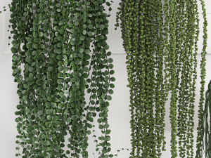 vertical gardening on wall shelves 62 Modelo 3D