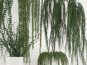 vertical gardening on wall shelves 62 Modelo 3D