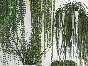 vertical gardening on wall shelves 62 Modelo 3D