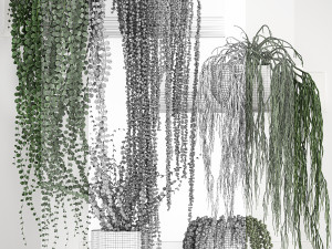vertical gardening on wall shelves 62 Modelo 3D