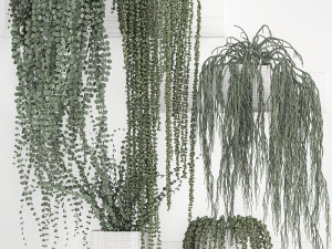 vertical gardening on wall shelves 62 Modelo 3D