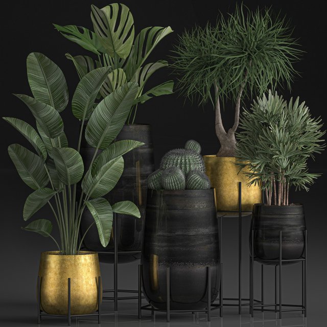 decorative plants in luxury gold pots for the interior 545 3D Model .c4d .max .obj .3ds .fbx .stl .blend