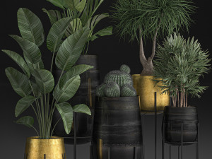 decorative plants in luxury gold pots for the interior 545 3D मॉडल