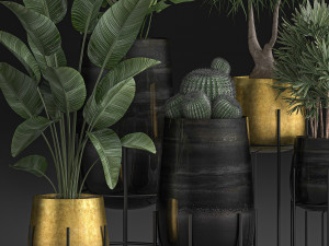 decorative plants in luxury gold pots for the interior 545 3D Model