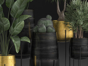decorative plants in luxury gold pots for the interior 545 3D Model
