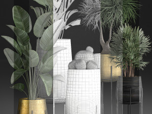decorative plants in luxury gold pots for the interior 545 3D Model