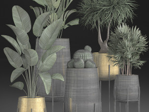 decorative plants in luxury gold pots for the interior 545 3D Model