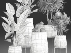 decorative plants in luxury gold pots for the interior 545 3D Model