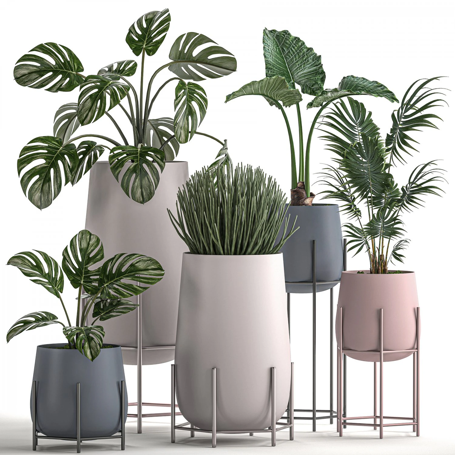 decorative plants in pots for the interior 547 3D Model .c4d .max .obj .3ds .fbx .stl .blend 